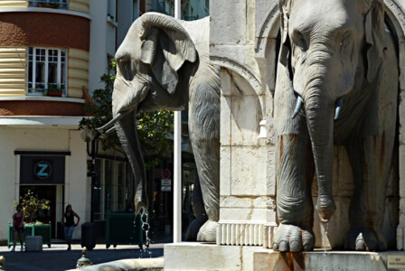 … die Vier ohne Arsch