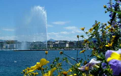 Jet d'Eau mit Blumen