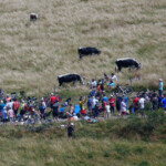 Bergbewohner weitgehend unbeeindruckt.