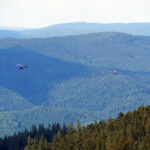 Die ersten Anzeichen